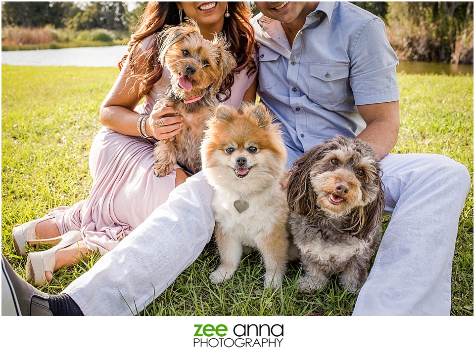 Fort Myers Engagement shoot at Lakes Park by Zee Anna Photography