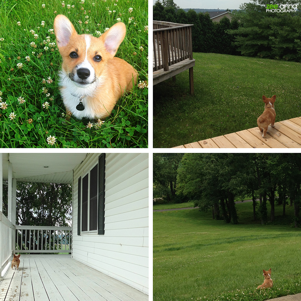 Ohio Summer Road Trip 2013